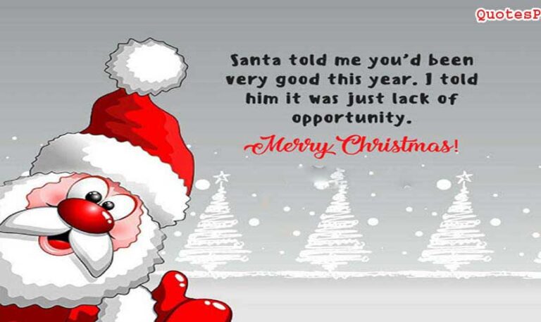 150 Best Christmas Quotes - Inspirational & Funny - QuotesProject.Com