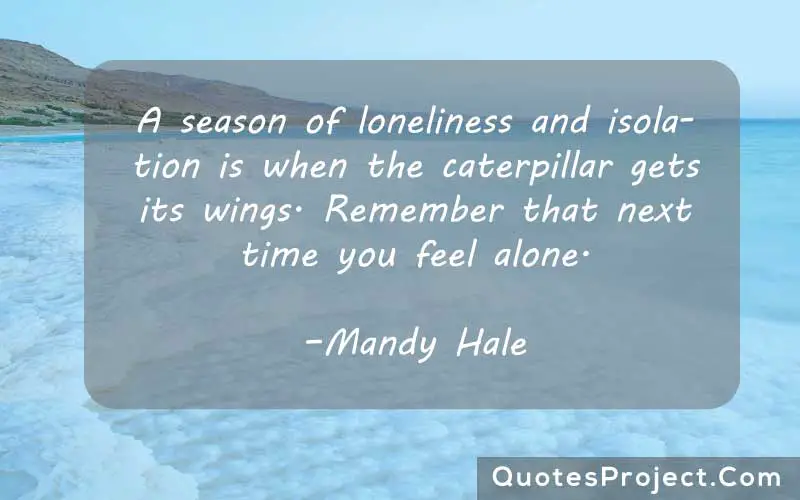 A season of loneliness and isolation is when the caterpillar gets its wings. Remember that next time you feel alone. –Mandy Hale
