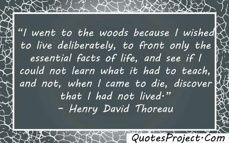 “I went to the woods because I wished to live deliberately, to front only the essential facts of life, and see if I could not learn what it had to teach, and not, when I came to die, discover that I had not lived.” – Henry David Thoreau being alone and finding yourself quotes