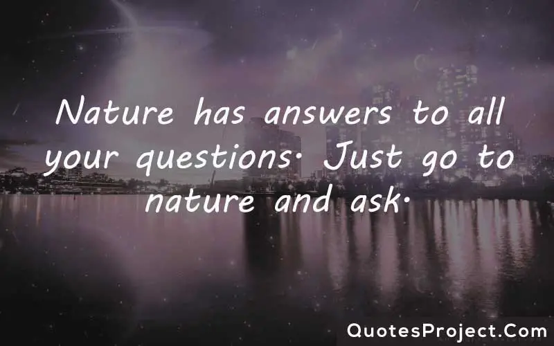 Nature has answers to all your questions. Just go to nature and ask. finding yourself again quotes
