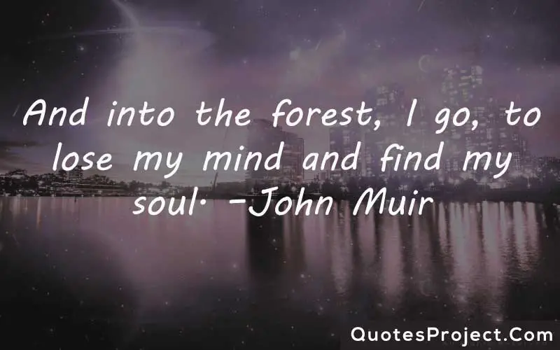 And into the forest, I go, to lose my mind and find my soul. –John Muir finding yourself quotes short