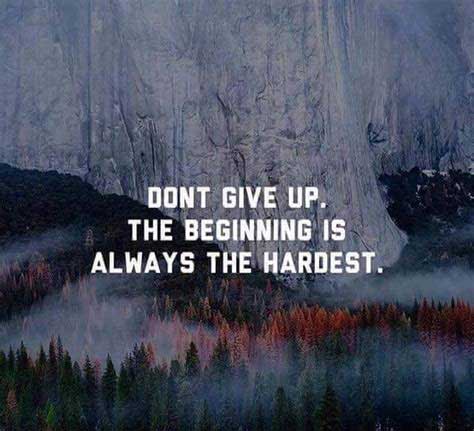 600+ Inspirational Never Giving Up Quotes With Images - QuotesProject.Com