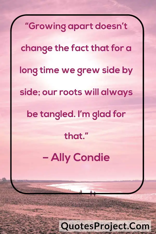 
“Growing apart doesn’t change the fact that for a long time we grew side by side; our roots will always be tangled. I’m glad for that.”
– Ally Condie
friendship quotes about support