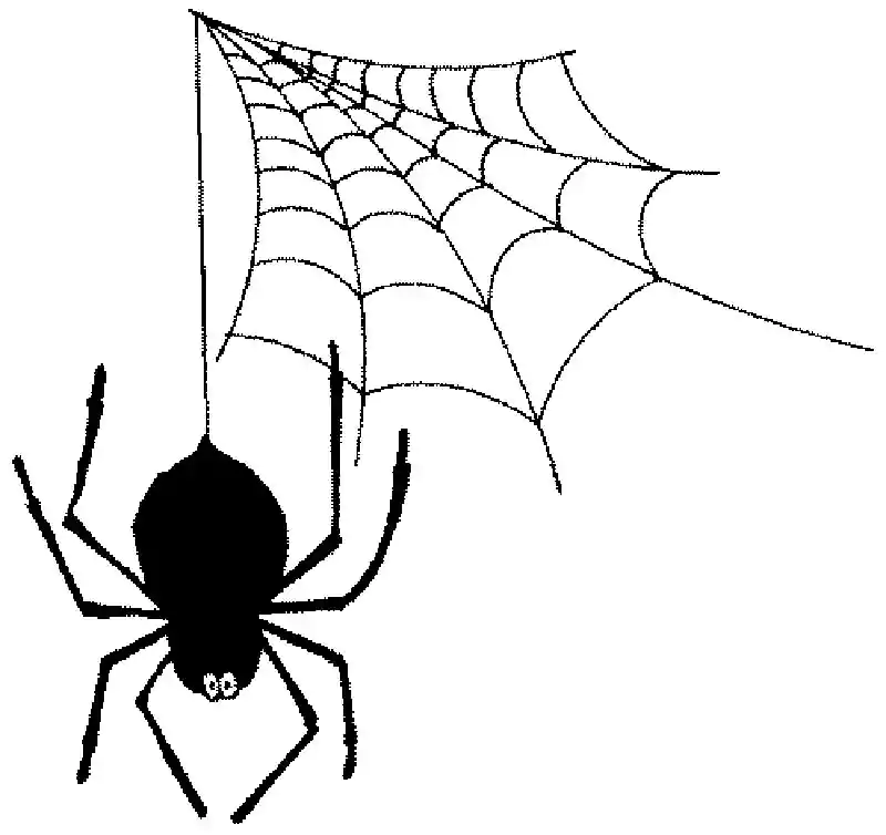 Black And White Halloween spider Clip Art