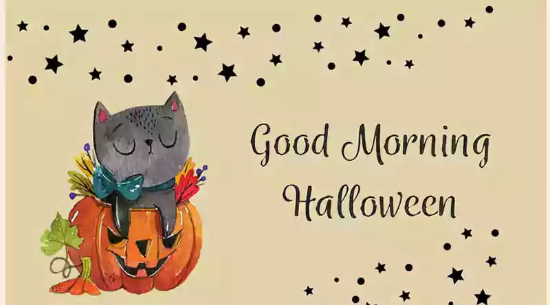 Good morning halloween with black cat
