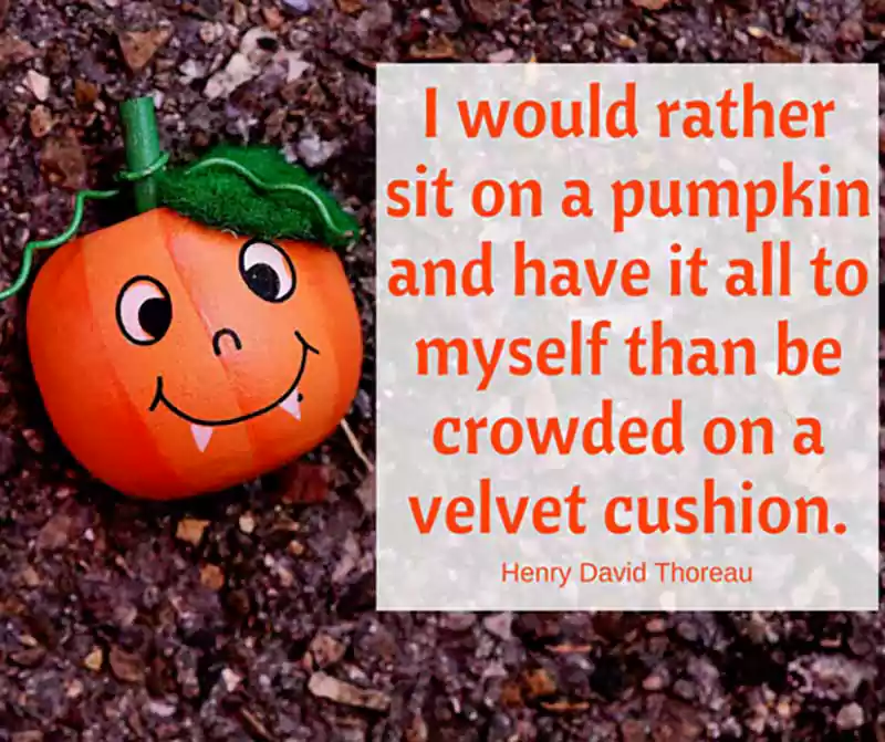 best Funny Halloween Quotes