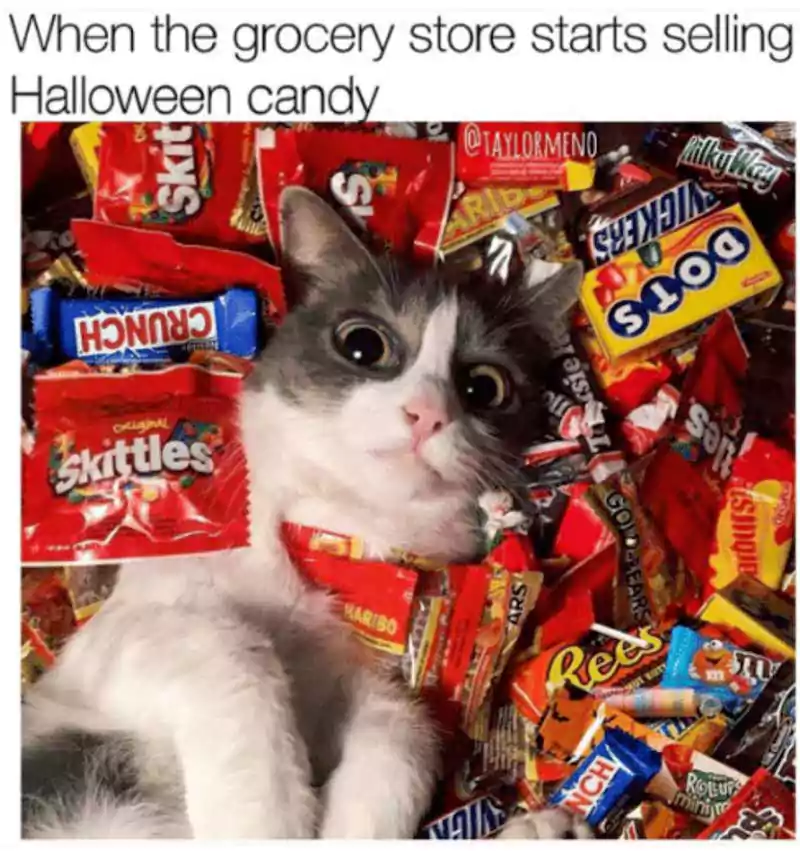 favorite halloween candy meme