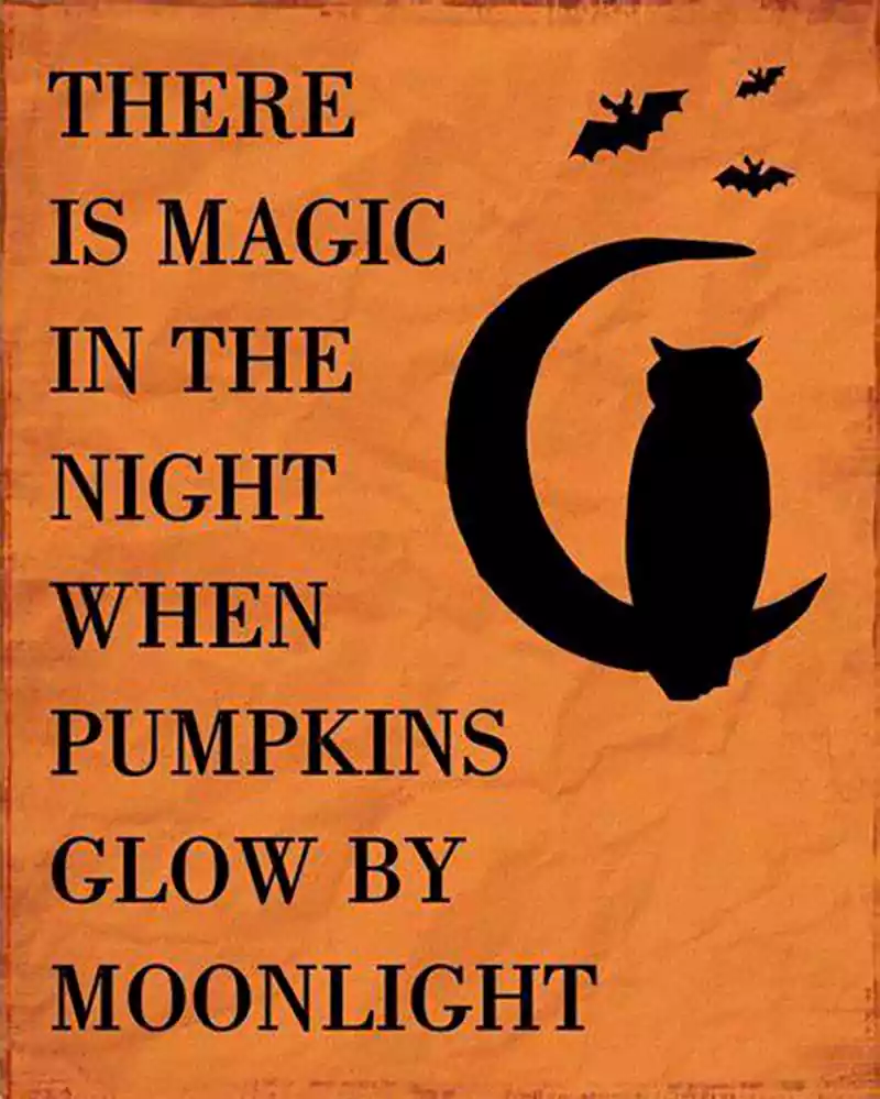 funny Halloween Quotes and Sayings