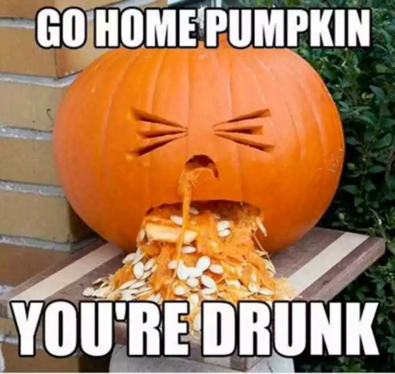 funny halloween animal memes