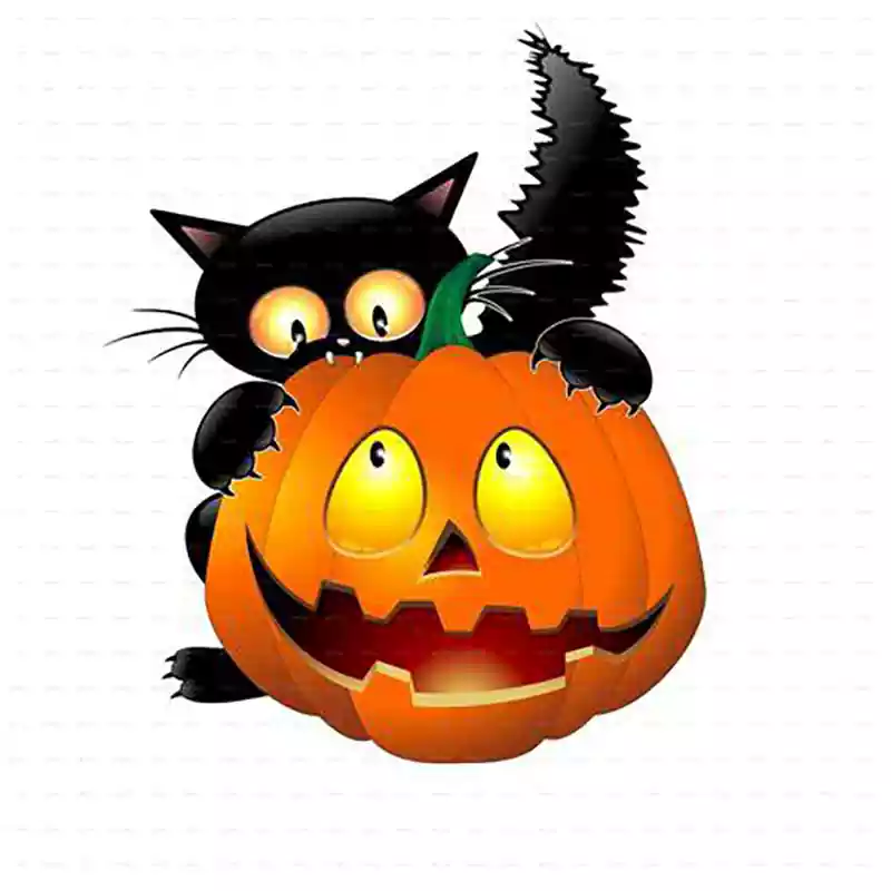 funny halloween cat pictures