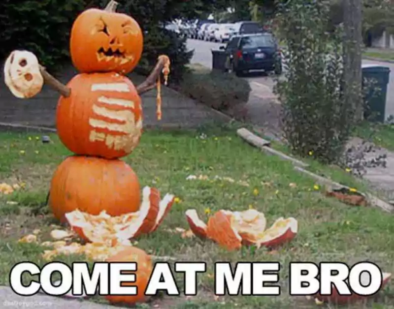 funny halloween pumpkin meme