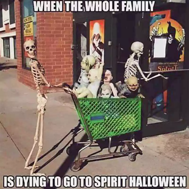 funny images of happy halloween