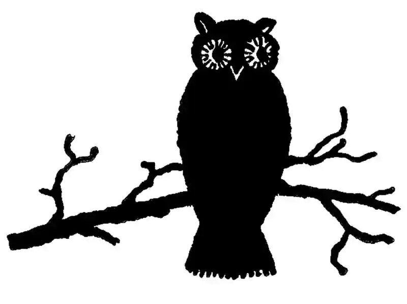halloween black and white owl clipart