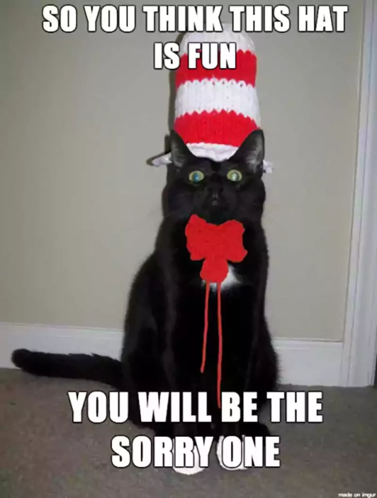 halloween cat meme with costume