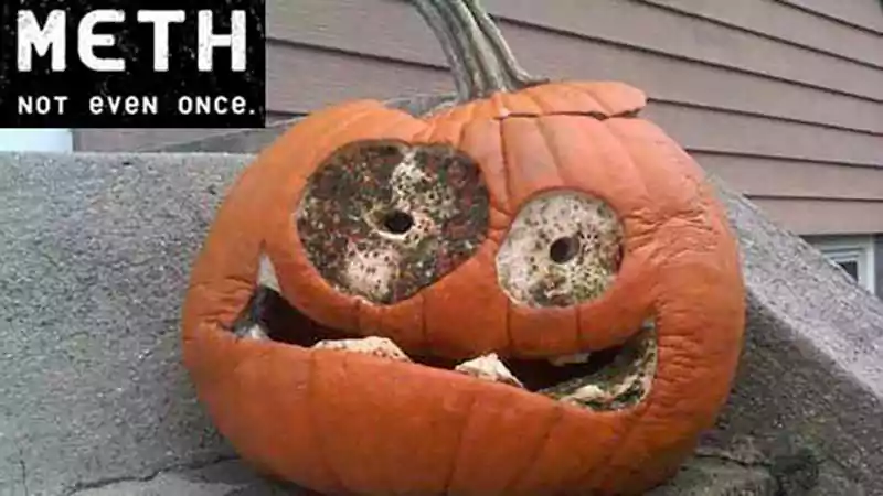 halloween pumpkin meme