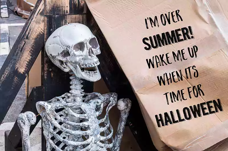 halloween skeleton meme