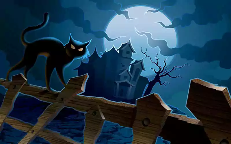 Halloween Cat Desktop Backgrounds