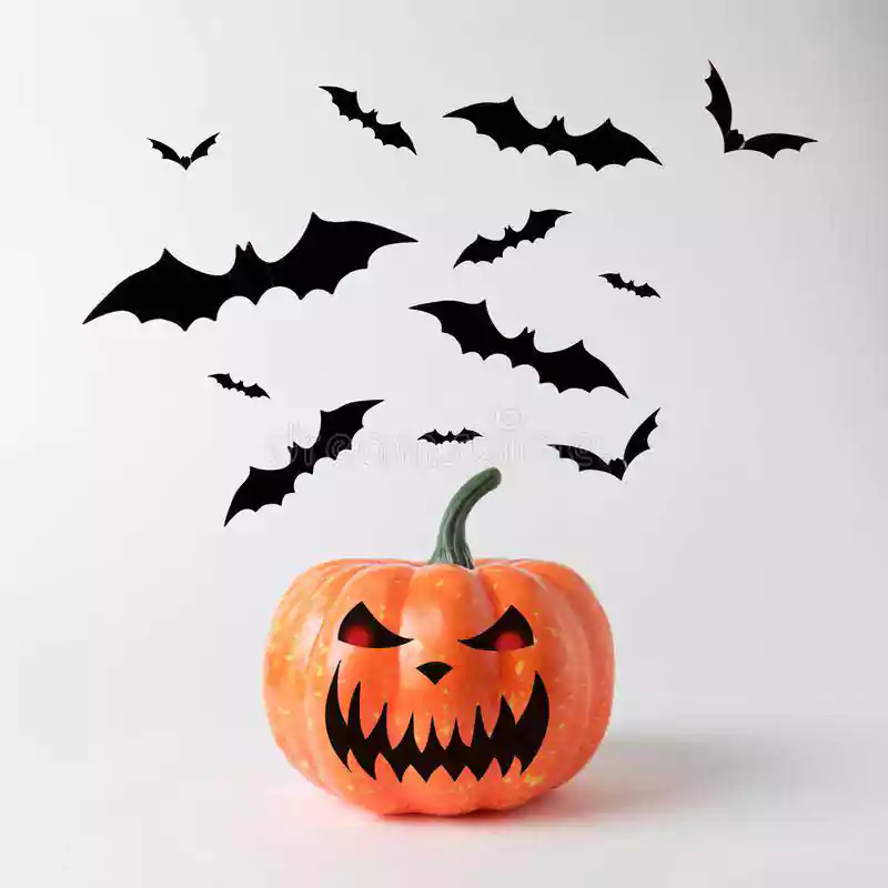 Halloween White Background with owl and pumpkin