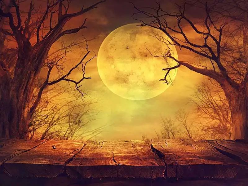 Halloween moon background