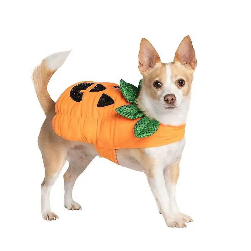 Halloween white background with cute dog