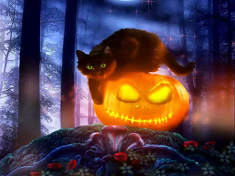 black cat halloween desktop wallpaper