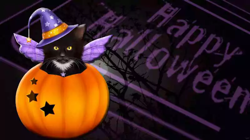 cat halloween zoom background