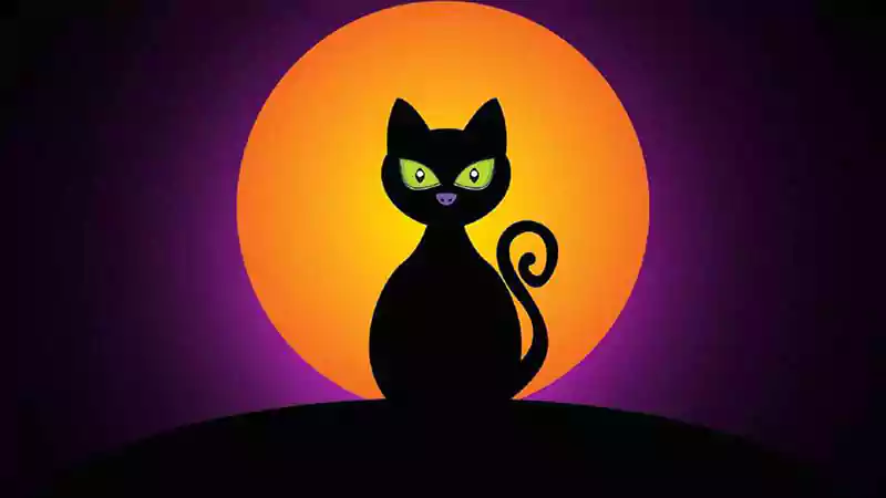 cute black cat halloween wallpaper