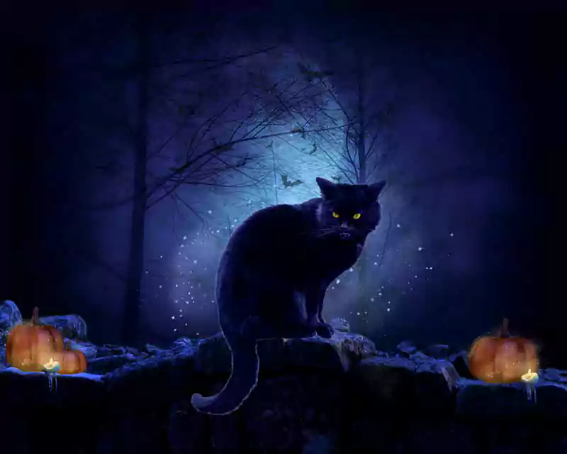 dark halloween background image