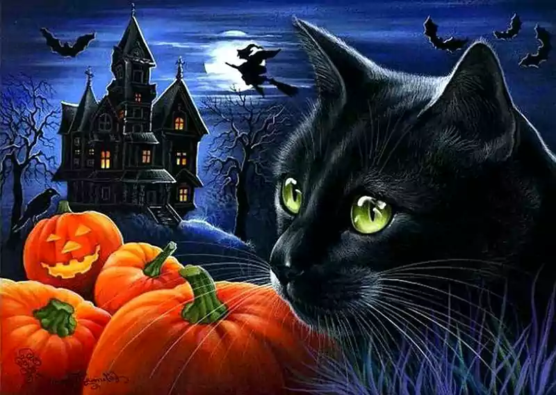 halloween cat background