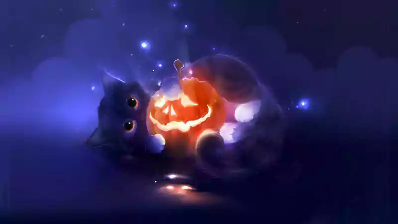 halloween cat wallpaper desktop