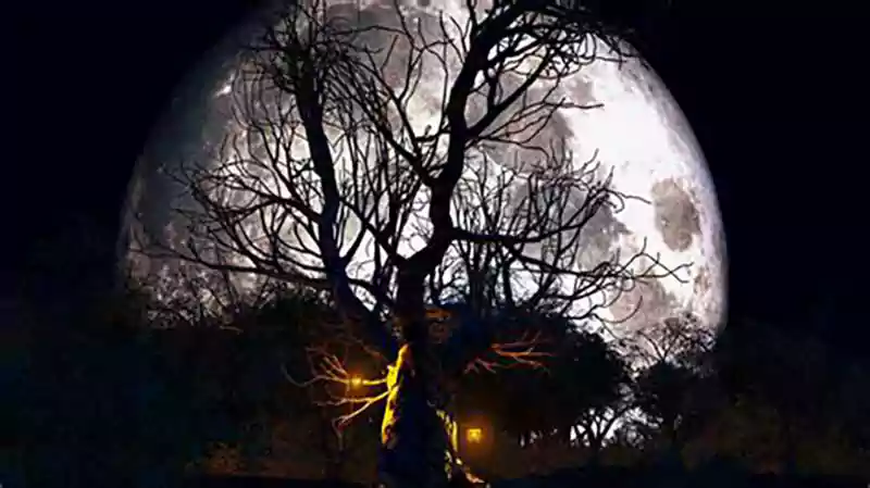 halloween moon background
