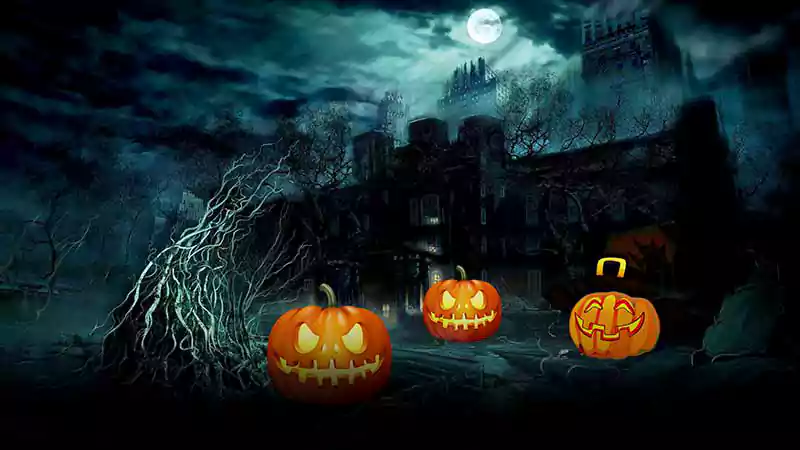 halloween pumpkin gif background