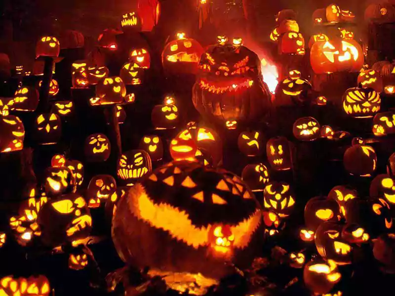 halloween pumpkin scarecrow wallpaper