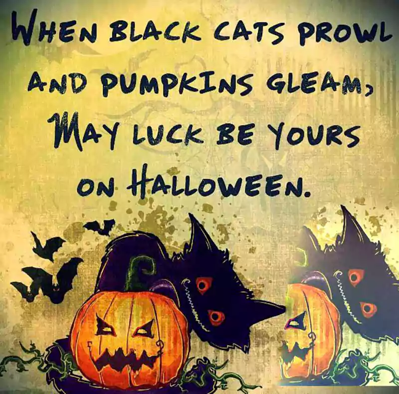 halloween sayings about witches