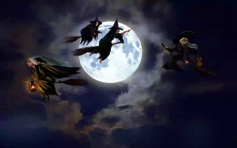 halloween witch background