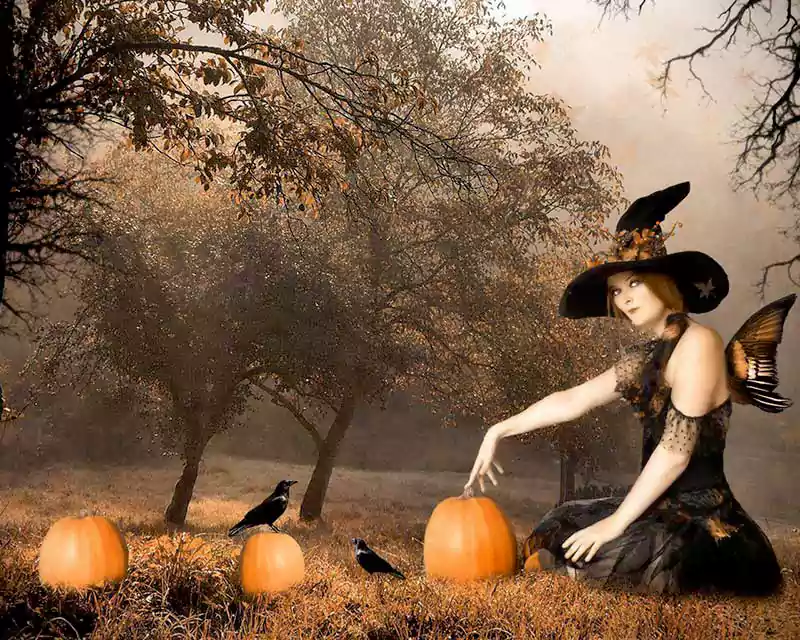 halloween witch background wallpaper