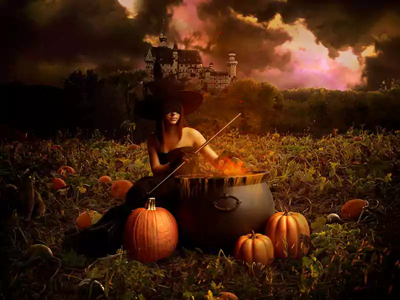 halloween witch computer background