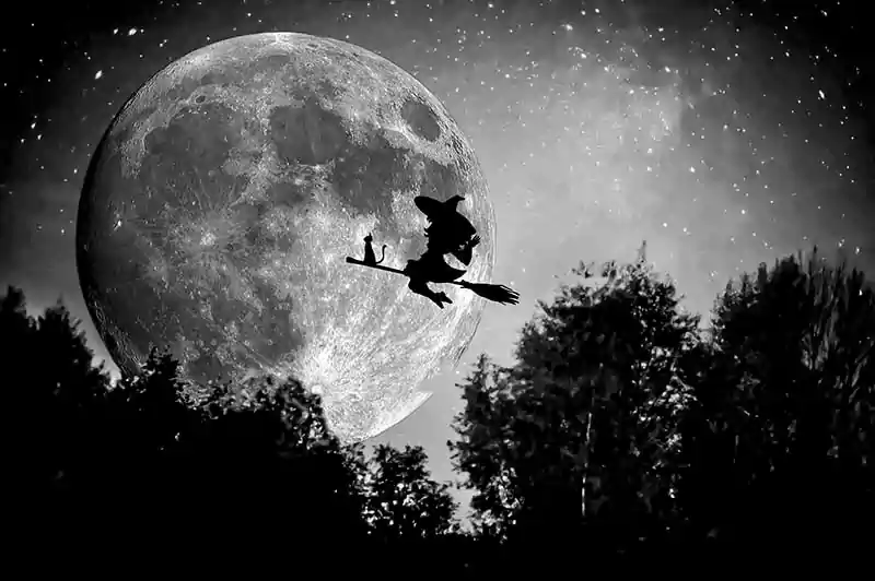 halloween witch zoom background
