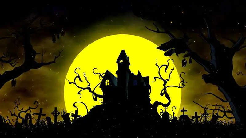 Halloween Night Background