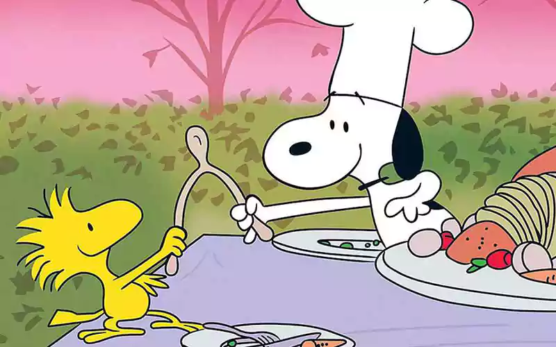 Snoopy Thanksgiving Dinner picture