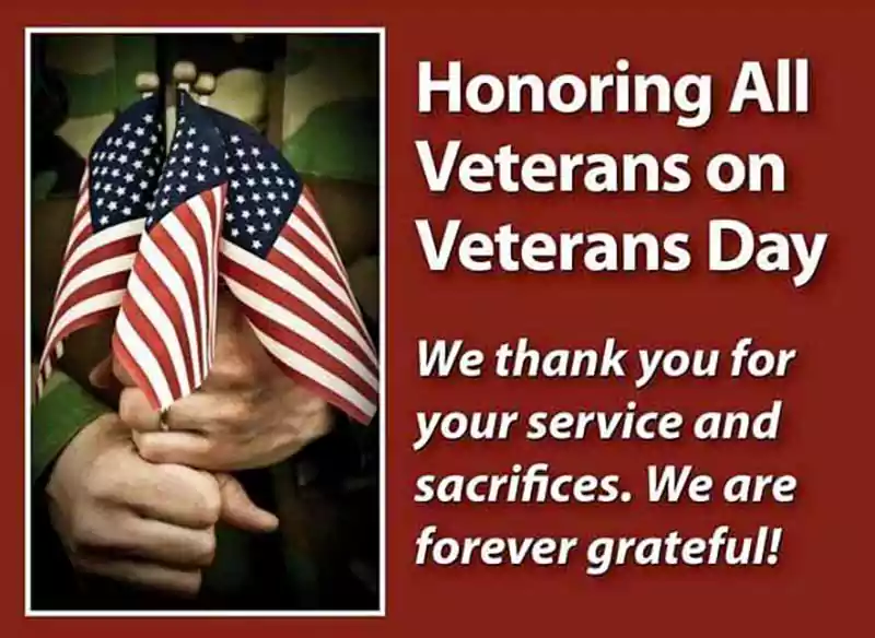 Veterans Day Thank You Quotes