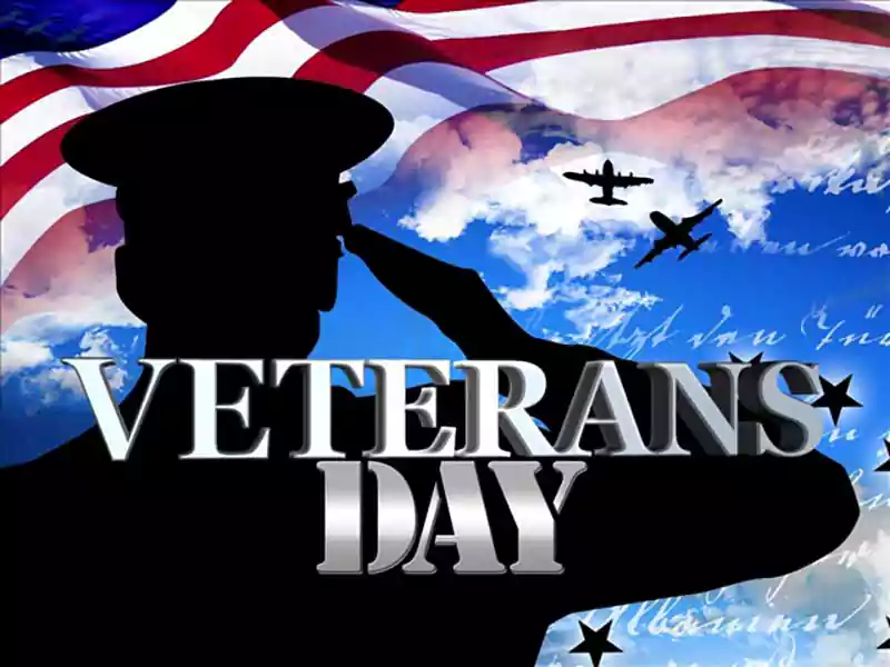 cartoon images of thank you for your service veterans day