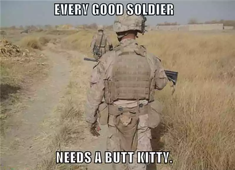dad on veterans day funny meme