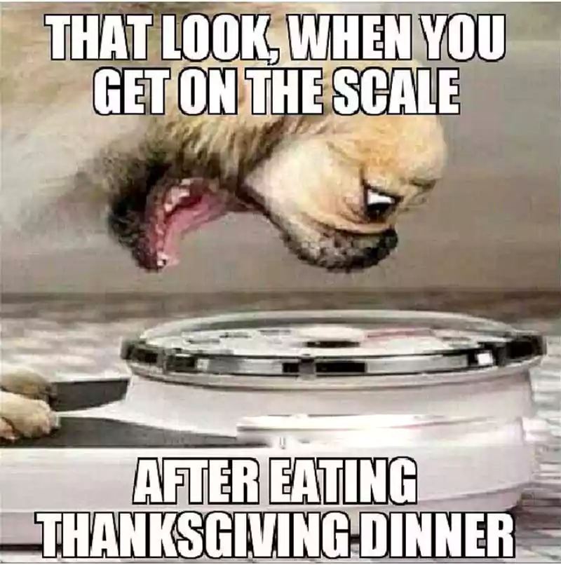 day after thanksgiving funny image with turkey