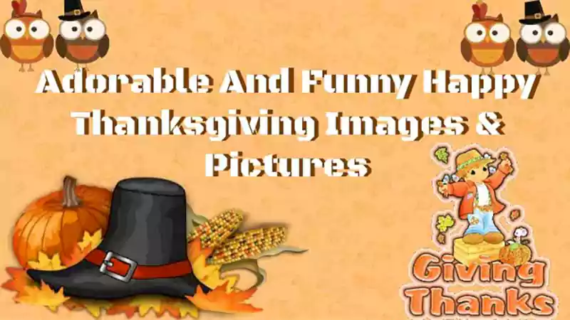 funny happy thanksgiving moving images