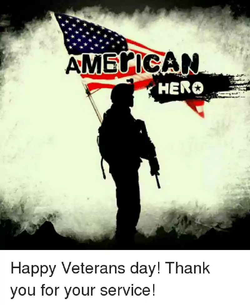 funny thank you veterans day meme