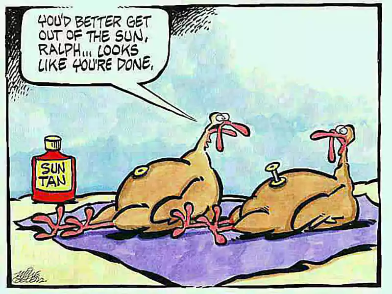 funny thanksgiving cartoon with turkey