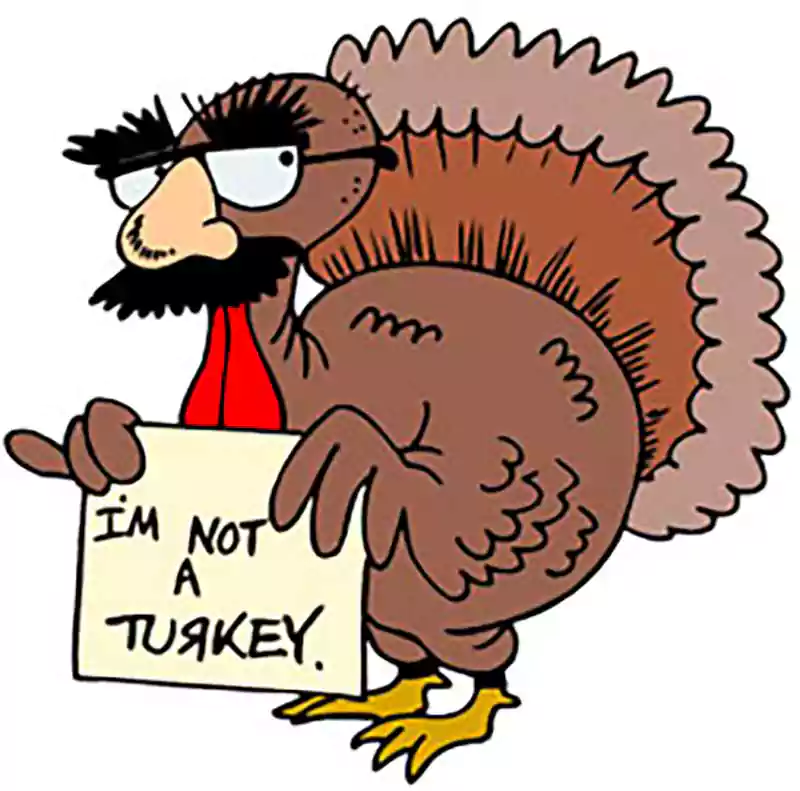 funny thanksgiving turkey picture