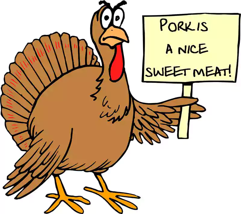funny turkey cartoon image