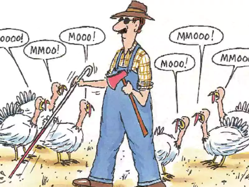 happy thanksgiving funny cartoon image